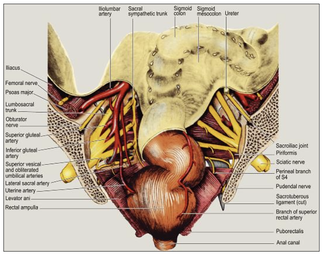 Description of image